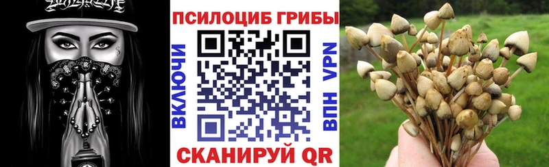 Купить закладки  Мамадыш  Галлюциногенные грибы Magic Shrooms 